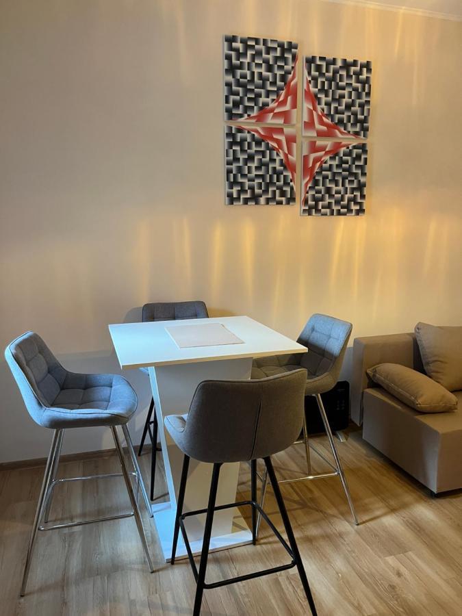 M&M Apartment, Free Parking カルロヴィ・ヴァリ エクステリア 写真
